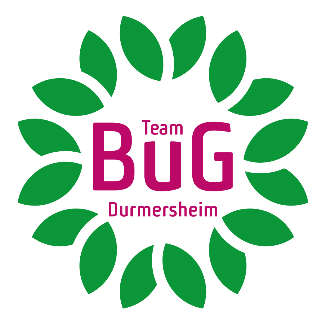 Bug Logo